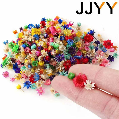 JJYY 1 Pack /100 Pcs Multicolor Mini Dried Flowers Diy Art Craft Epoxy Resin Candle Making Jewellery Home Party Decorative