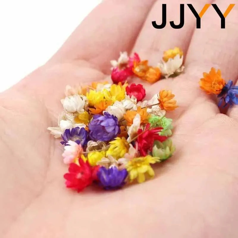 JJYY 1 Pack /100 Pcs Multicolor Mini Dried Flowers Diy Art Craft Epoxy Resin Candle Making Jewellery Home Party Decorative