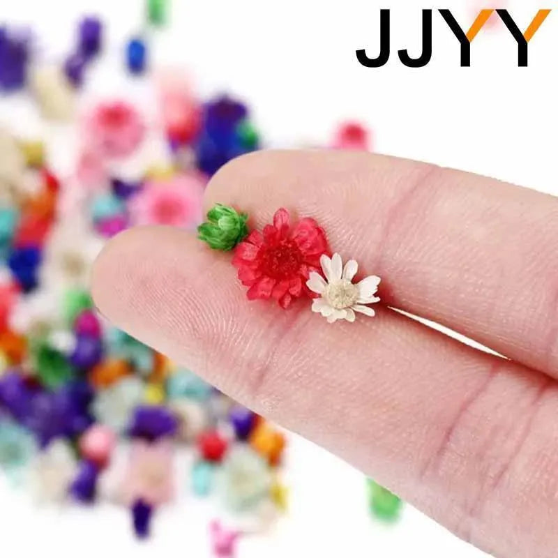 JJYY 1 Pack /100 Pcs Multicolor Mini Dried Flowers Diy Art Craft Epoxy Resin Candle Making Jewellery Home Party Decorative