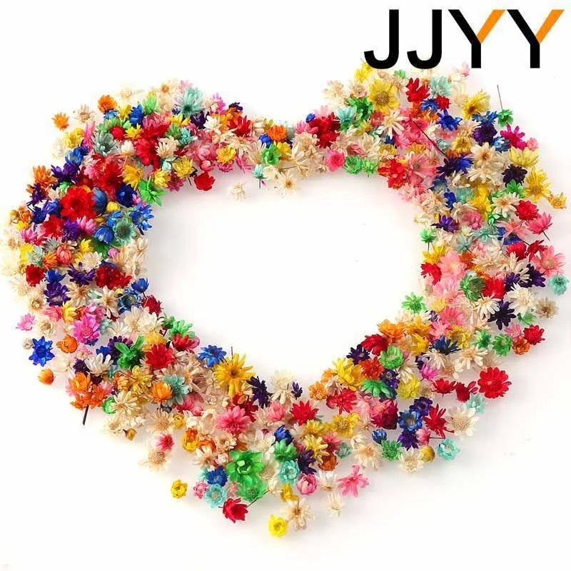 JJYY 1 Pack /100 Pcs Multicolor Mini Dried Flowers Diy Art Craft Epoxy Resin Candle Making Jewellery Home Party Decorative